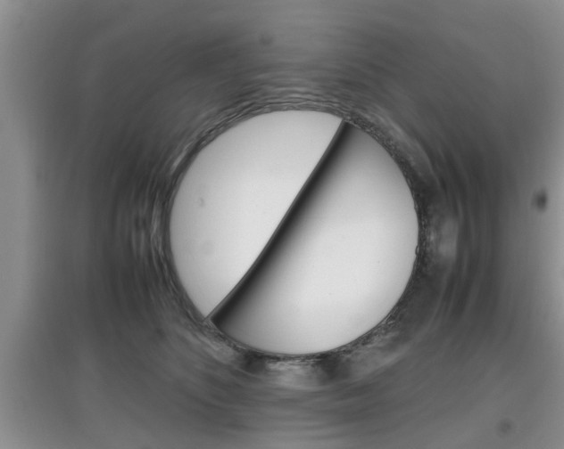X0000097900516200803141009