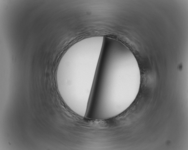 X0000097900517200803141009