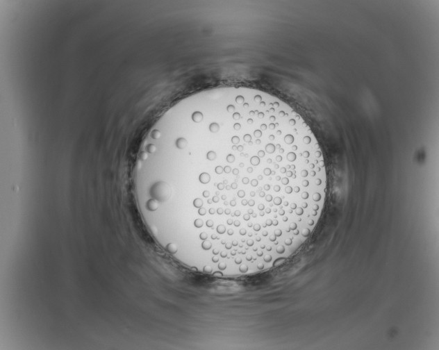 X0000097900519200803141009