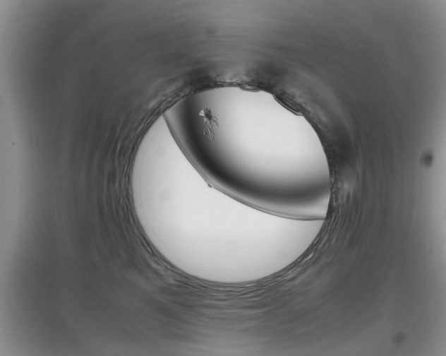 X0000097900521200803141009