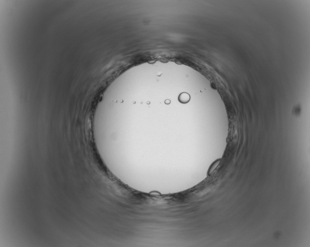 X0000097900523200803141009