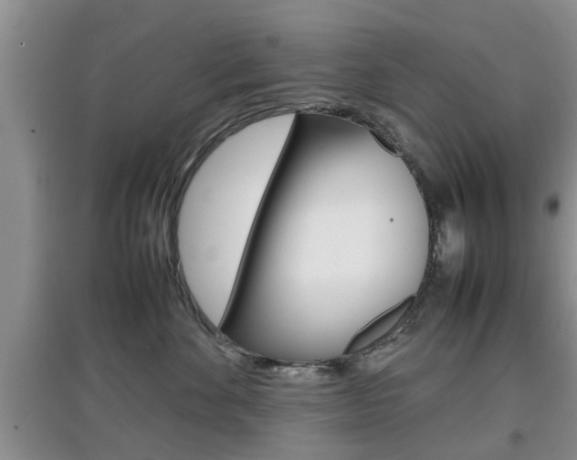 X0000097900524200803141009
