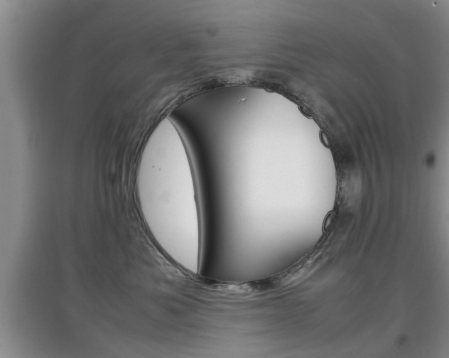 X0000097900525200803141009