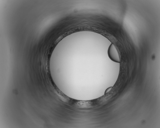 X0000097900526200803141009