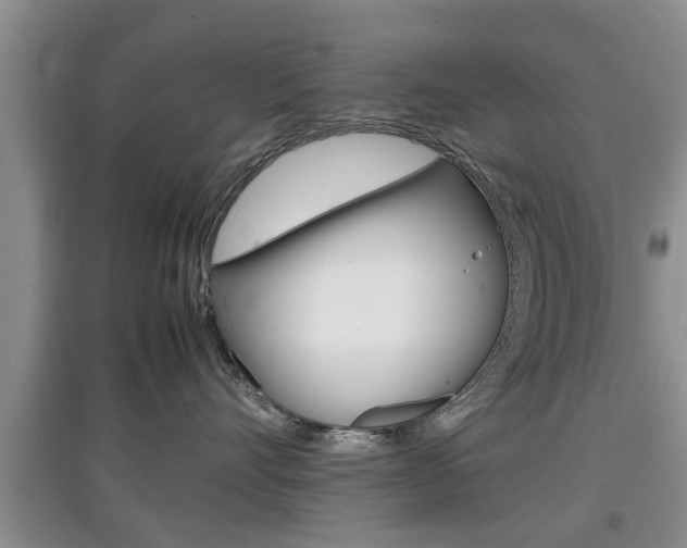 X0000097900528200803141009