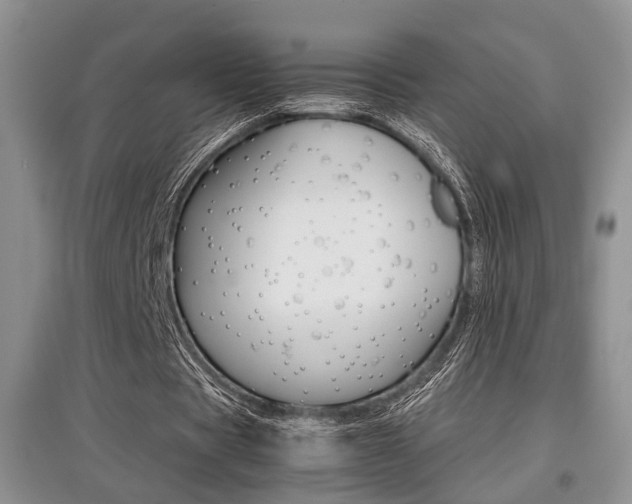 X0000097900529200803141008