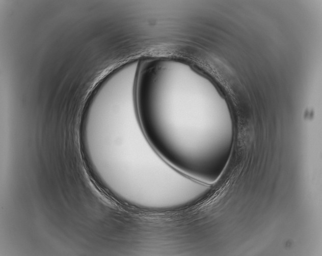 X0000097900530200803141008