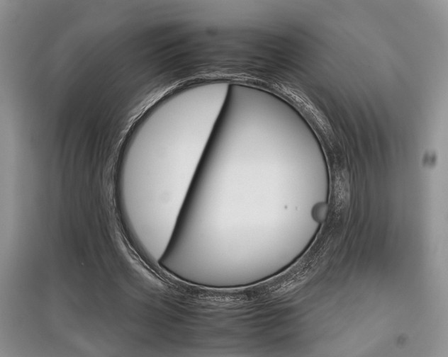 X0000097900533200803141008