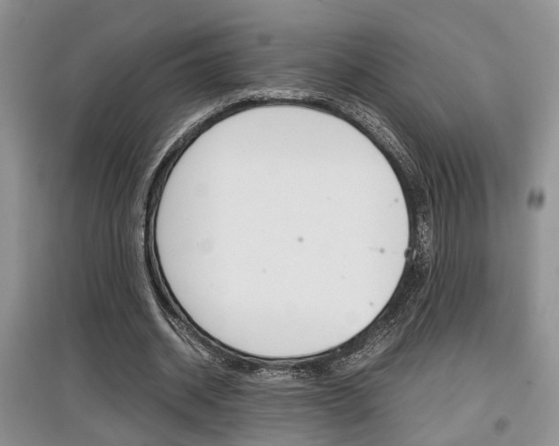 X0000097900534200803141008