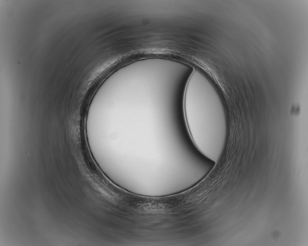X0000097900535200803141008