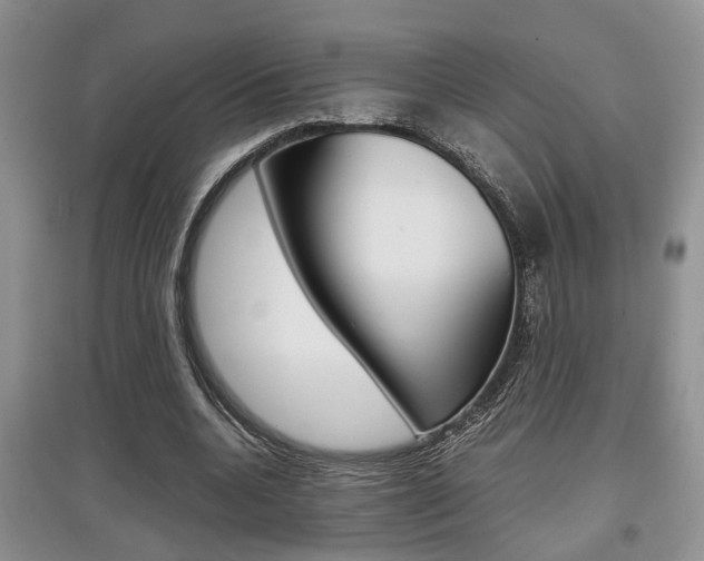 X0000097900536200803141008