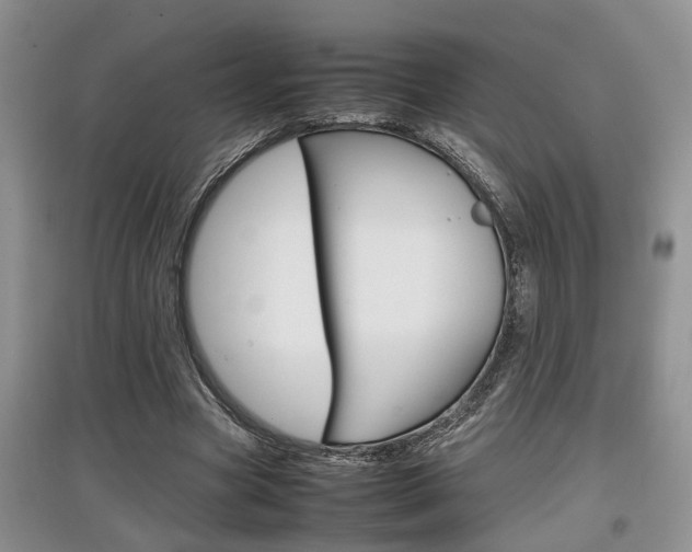 X0000097900537200803141008
