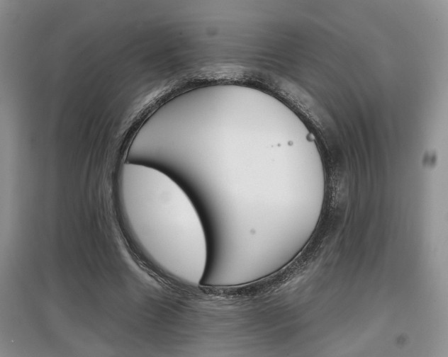 X0000097900538200803141008