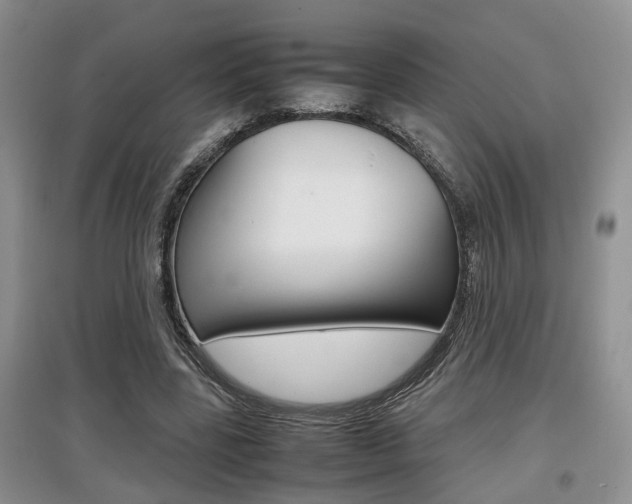 X0000097900539200803141008