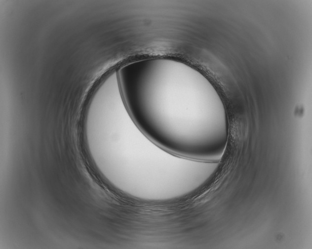 X0000097900540200803141008