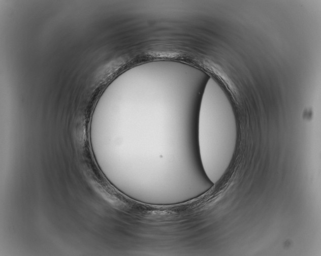 X0000097900541200803141008