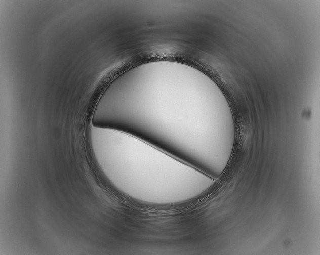 X0000097900543200803141008