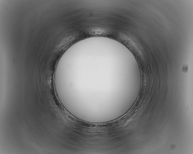 X0000097900545200803141008
