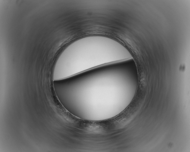 X0000097900547200803141008