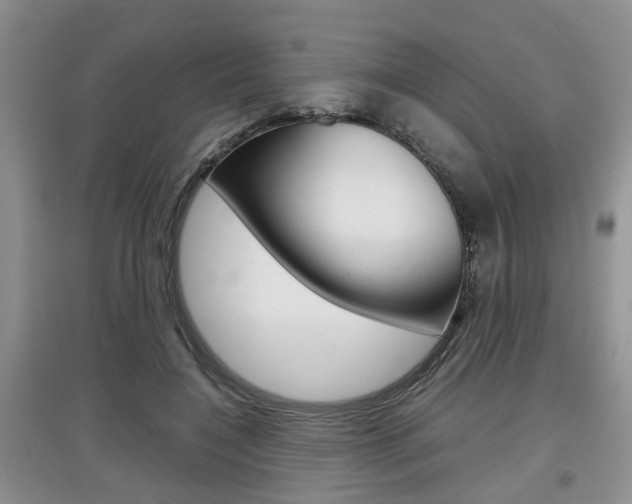 X0000097900548200803141008