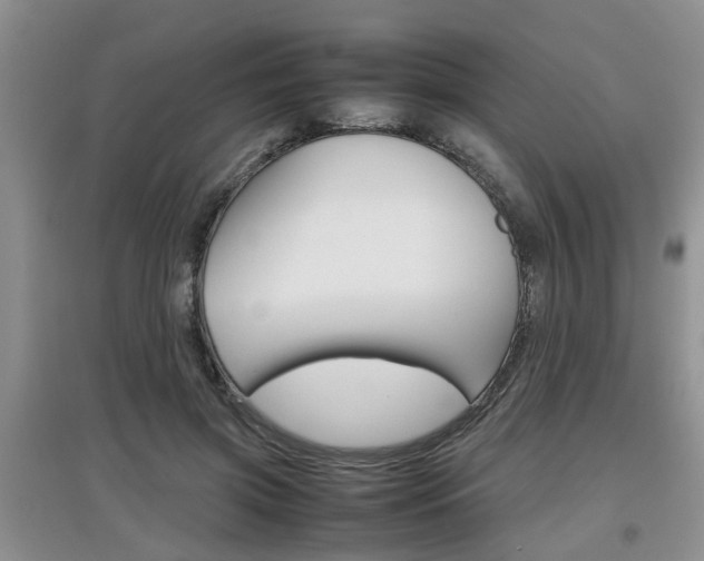 X0000097900549200803141008