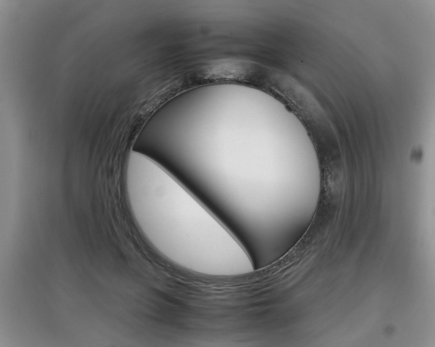 X0000097900551200803141008