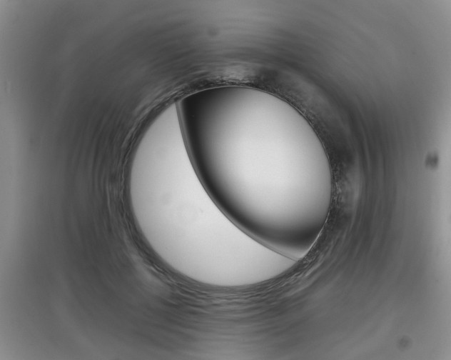 X0000097900552200803141008