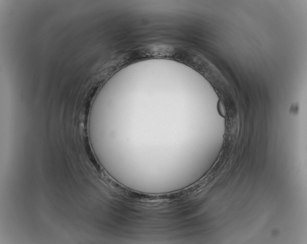 X0000097900553200803141008