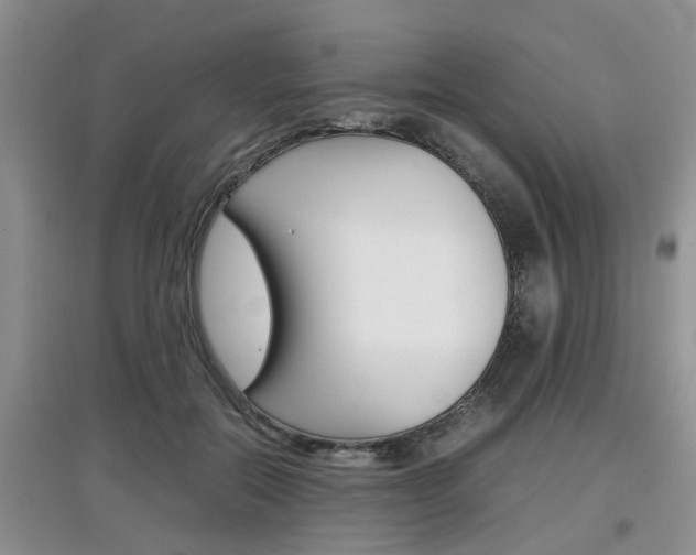 X0000097900554200803141008