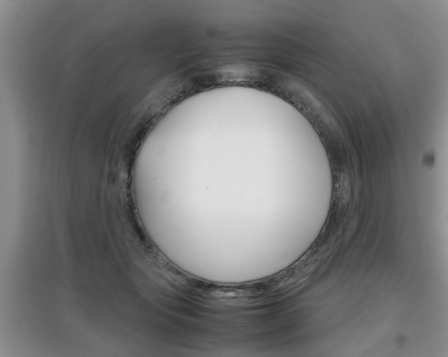 X0000097900557200803141009