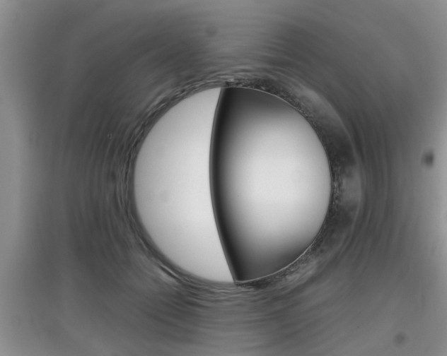X0000097900558200803141009