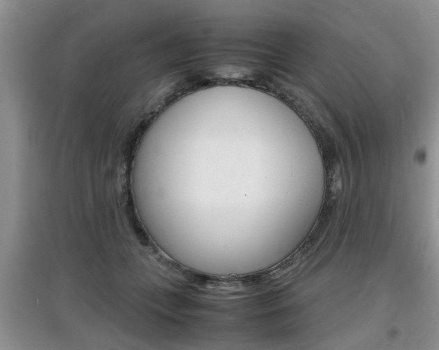 X0000097900559200803141009