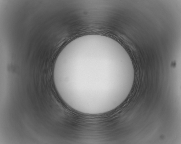 X0000097900560200803141009