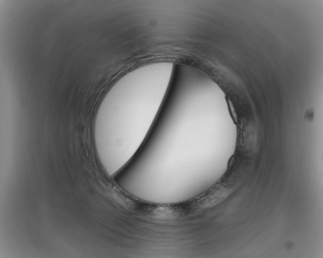X0000097900562200803141009