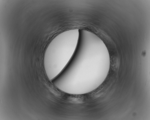 X0000097900563200803141009