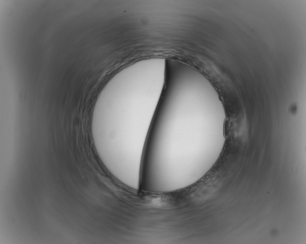 X0000097900564200803141009