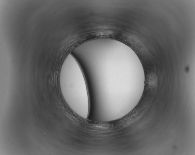 X0000097900567200803141009
