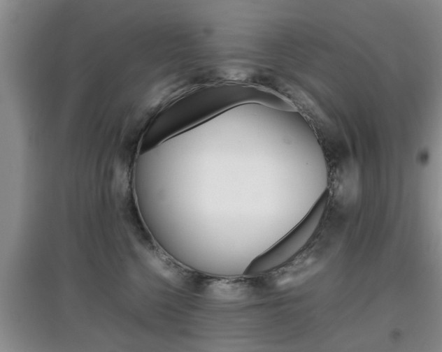 X0000097900568200803141009