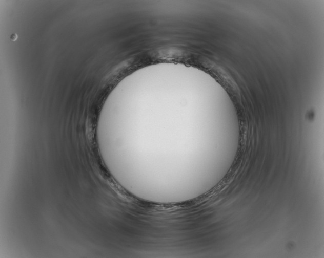 X0000097900569200803141009