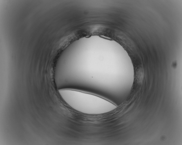 X0000097900571200803141009
