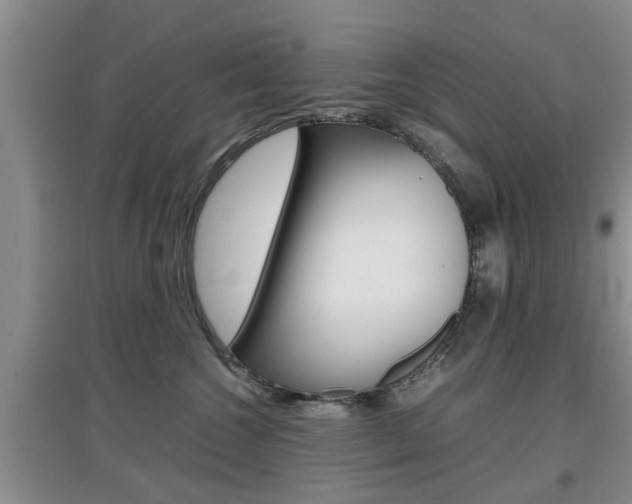 X0000097900572200803141009