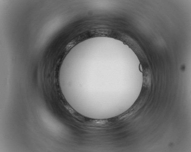 X0000097900573200803141009