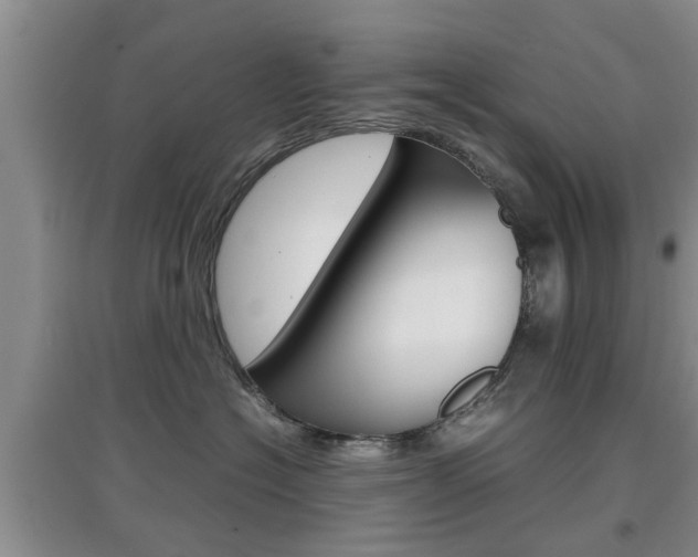 X0000097900574200803141009