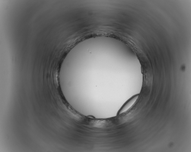 X0000097900575200803141009