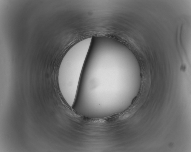 X0000097900576200803141009