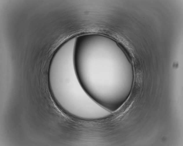 X0000097900577200803141008