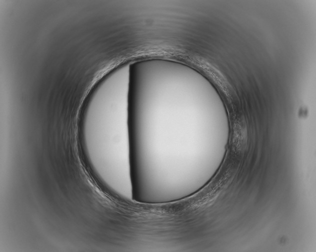 X0000097900578200803141008