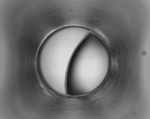 X0000097900580200803141008