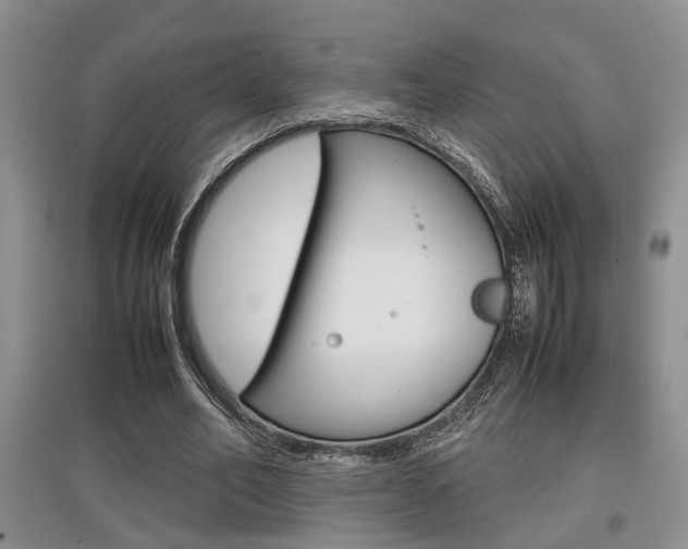 X0000097900582200803141008