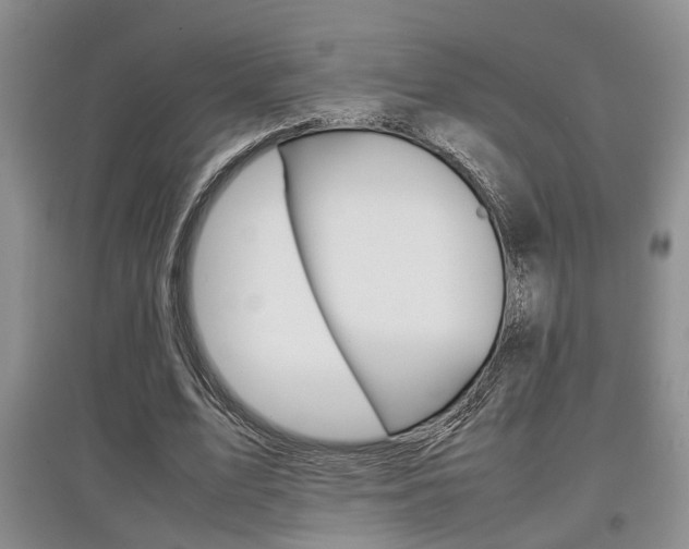 X0000097900583200803141008